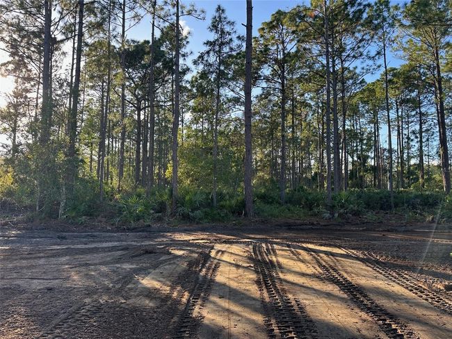 1090 Homestead Cove, Home with 0 bedrooms, 0 bathrooms and null parking in GENEVA FL | Image 6