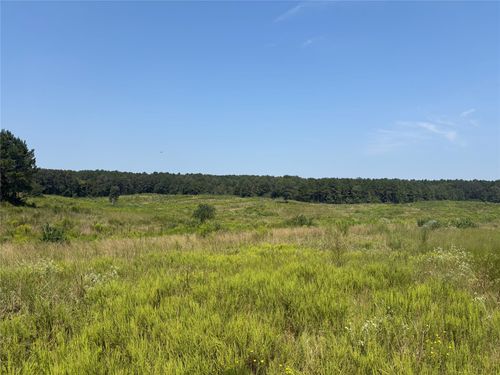 TBD 000 County Road 4378, Tenaha, TX, 75974 | Card Image