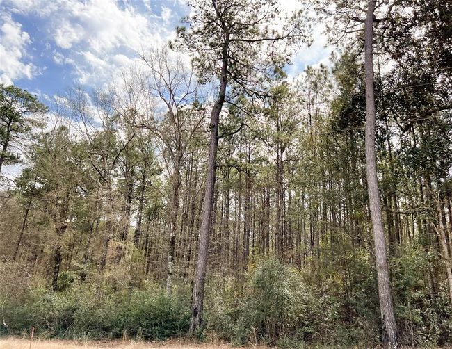 7 Fm 1746, Home with 0 bedrooms, 0 bathrooms and null parking in Spurger TX | Image 7