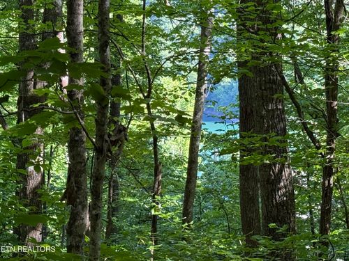 Lot 74 Norris Shores Drive, Sharps Chapel, TN, 37866 | Card Image