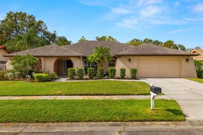 14116 Hollingfare Place, House other with 4 bedrooms, 3 bathrooms and null parking in Tampa FL | Image 1