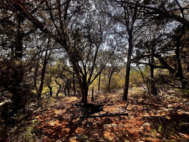 Flat area on lot. View through the trees. | Image 5