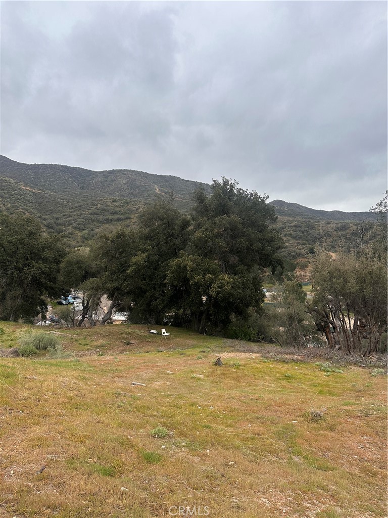 Land in Agua Dulce 2