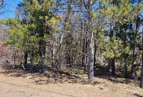 Site 8 Lumberjack Court, Grayling Charter Township, MI, 49738 | Card Image