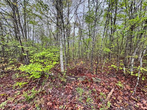 60268 Red Rock Ln, Crawford, TN, 38554 | Card Image