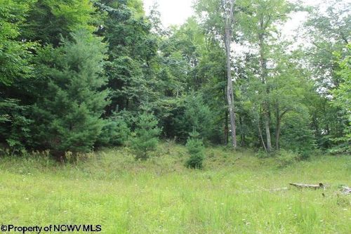 TBD Knotty Pine Dr, Parsons, WV, 26287 | Card Image
