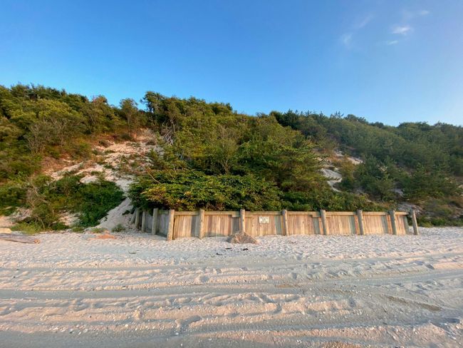 View of Beach behind house | Image 27