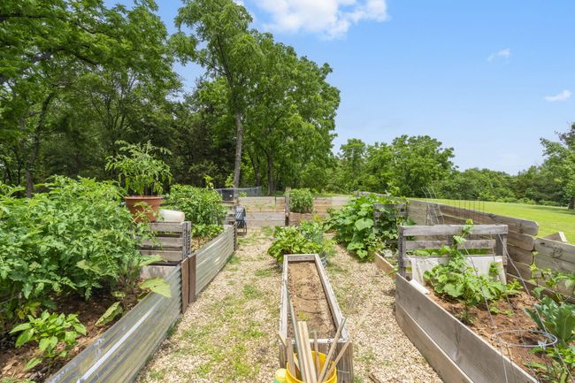 Raised Garden Beds | Image 42