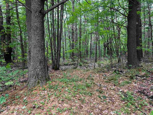0 Carpenter Hill Rd, Walpole, NH, 03608 | Card Image