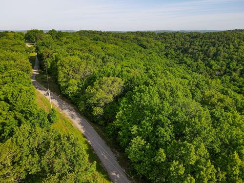 000 Mountain Estate Dr, Blue Eye, MO, 65611 | Card Image