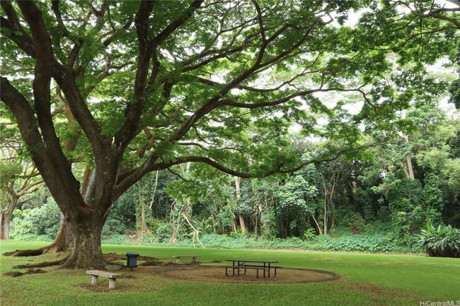Majestic trees provides the best backdrop for this complex | Image 18