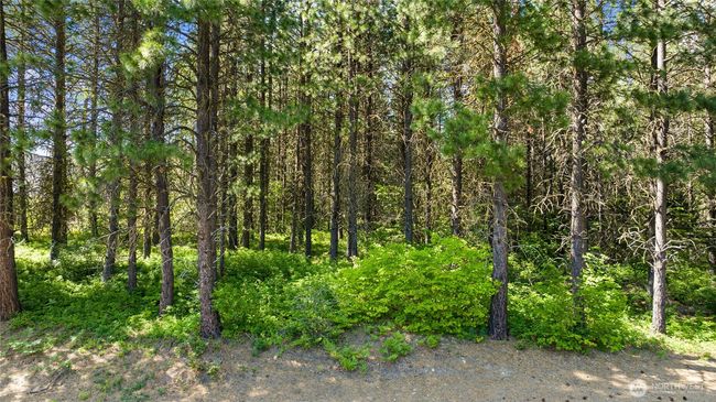 831 Iron Monarch Loop, Home with 0 bedrooms, 0 bathrooms and null parking in Cle Elum WA | Image 9