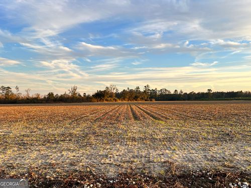 0 P.W. Clifton Rd, Brooklet, GA, 30415 | Card Image