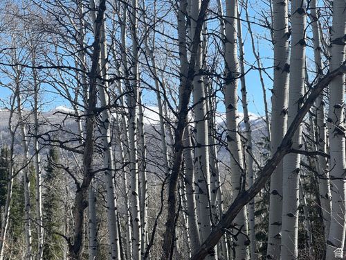 661-661 Red Fir Way, Kamas, UT, 84036 | Card Image