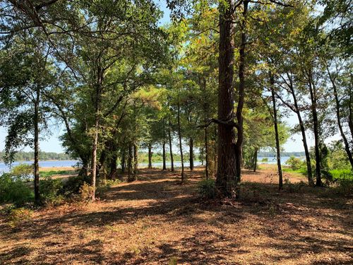 3196 Shadow Pine Dr, LaRue, TX, 75770 | Card Image