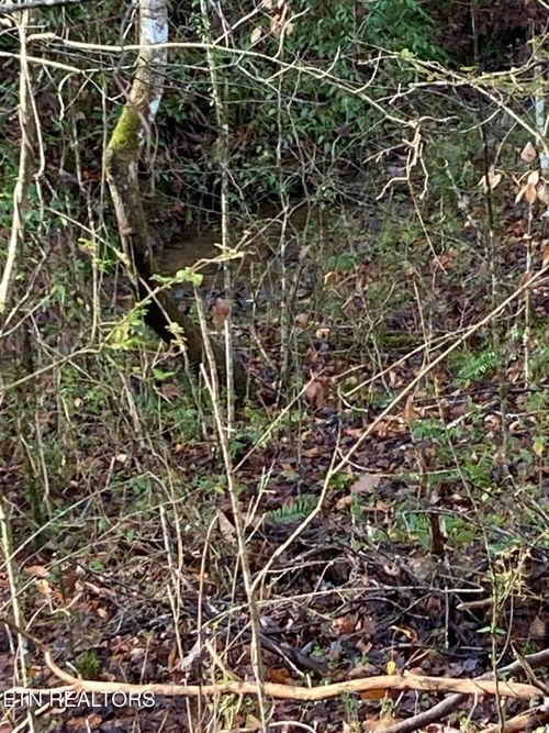 Lot 53A Fiesta Blvd, Sevierville, TN, 37876-6528 | Card Image