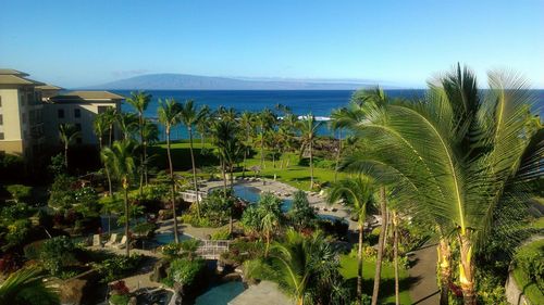 4502-1 Bay Dr, Lahaina, HI, 96761-9035 | Card Image