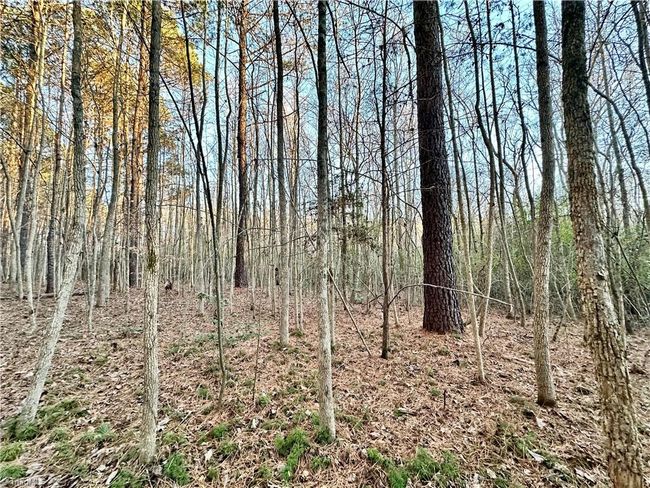 00 Farmstead Rd, Home with 0 bedrooms, 0 bathrooms and null parking in Seagrove NC | Image 35