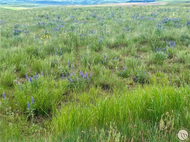15.9 Ac Buck Creek Road, Home with 0 bedrooms, 0 bathrooms and null parking in Absarokee MT | Image 10