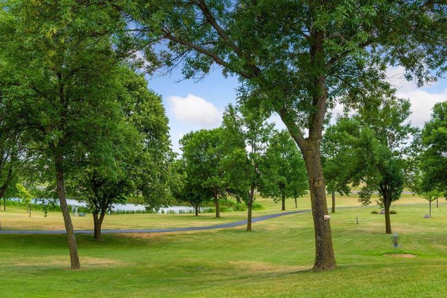 Lions Park | Image 50