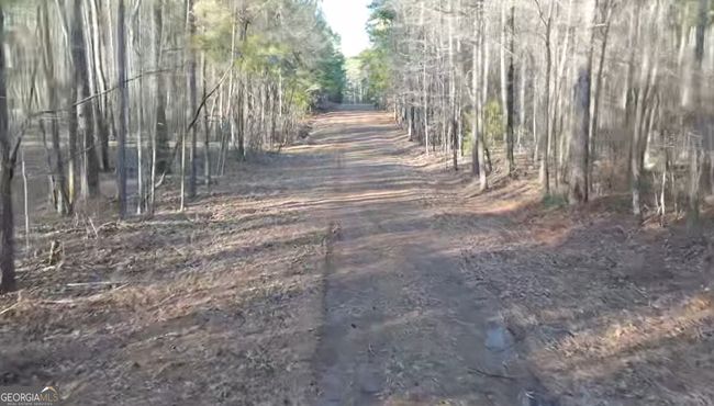 0 Lower Glass Bridge Rd, Home with 0 bedrooms, 0 bathrooms and null parking in Lagrange GA | Image 6