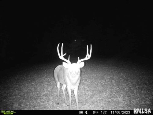 000 Grand Pierre Dr, Golconda, IL, 62938 | Card Image