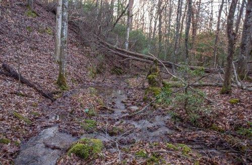 36.78 AC Old Hwy 76, Morganton, GA, 30560 | Card Image