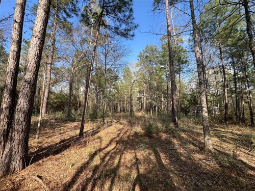 3-17-3B Winchester Road, Huntsville, TX, 77340 | Card Image