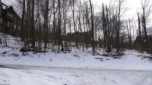 45 Winterset Dr, Davis, WV, 26260 | Card Image