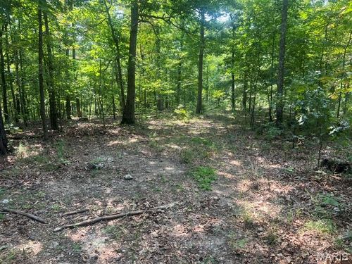 0 County Road 341, Piedmont, MO, 63957 | Card Image