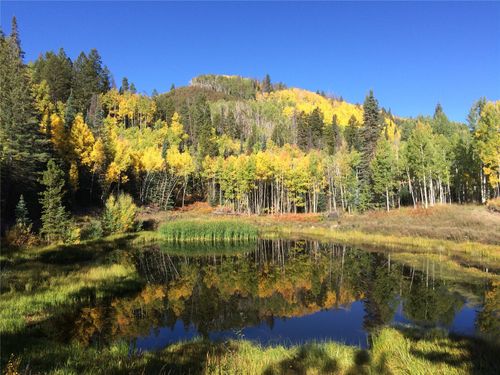 21195 Cheyenne Trl, Oak Creek, CO, 80467-8620 | Card Image