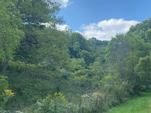 TBD Whitehall Rd, Bluefield, VA, 24605 | Card Image