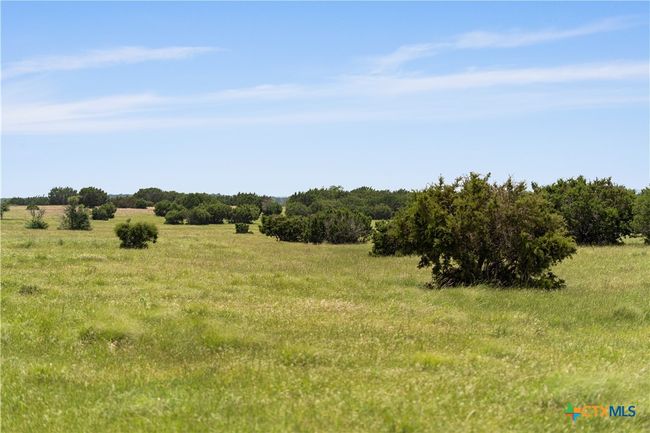 16160 Siler Rd, Home with 0 bedrooms, 1 bathrooms and null parking in Moody TX | Image 39