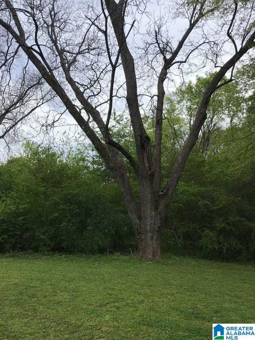 0-421 14th Pl, PLEASANT GROVE, AL, 35127-2646 | Card Image