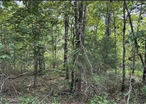 406 Wahoo Dr, Crossville, TN, 38572 | Card Image
