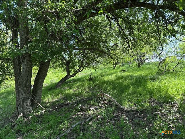8500 N Fork Rd, Home with 0 bedrooms, 0 bathrooms and null parking in Bartlett TX | Image 25