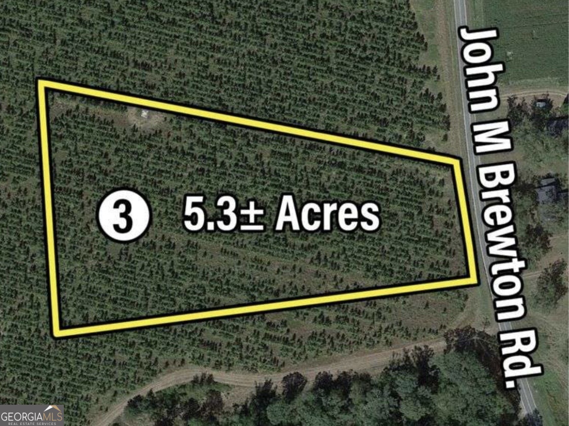 Land in Glennville 5