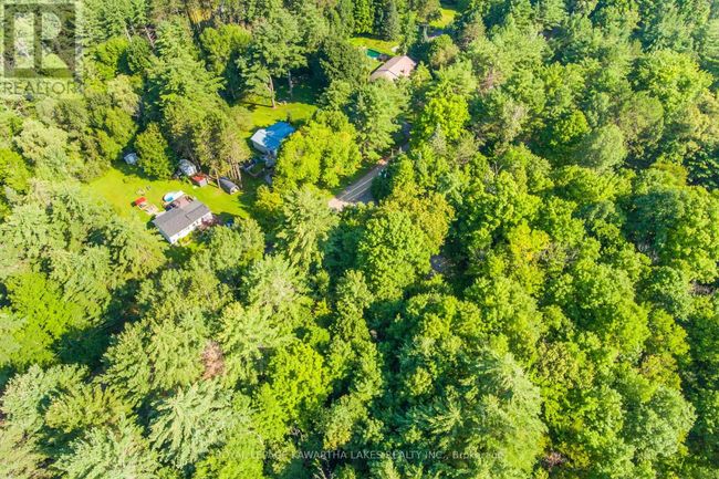 Lt 33 Benson Blvd, Home with 0 bedrooms, 0 bathrooms and null parking in Coboconk ON | Image 11