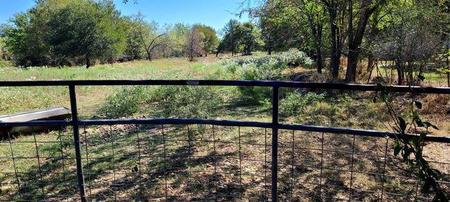 Gate | Image 6