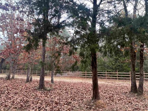 9138 N County Road 2138, Tatum, TX, 75691 | Card Image