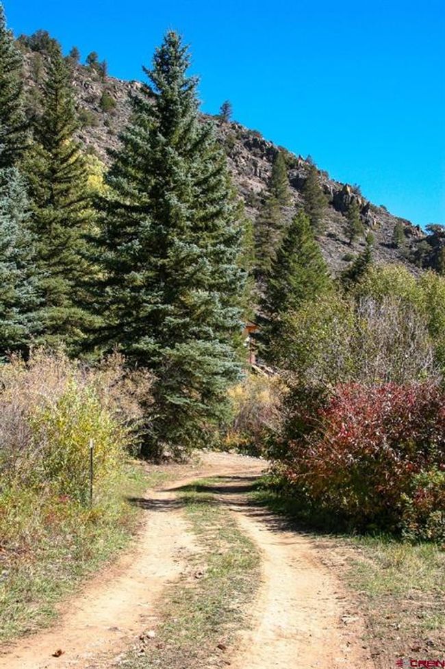 518 Cebolla River Rd, Home with 0 bedrooms, 0 bathrooms and null parking in Powderhorn CO | Image 25