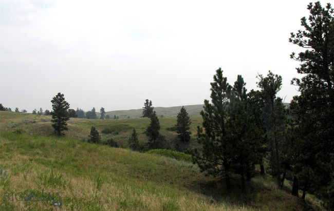 SC-25 - TBD Lone Rock Canyon Lane, Home with 0 bedrooms, 0 bathrooms and null parking in Hysham MT | Image 12