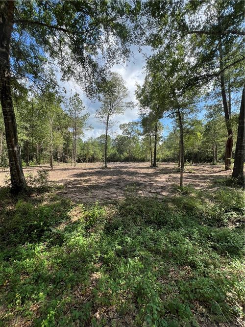 TBD Lot 3 Deerwood Drive, Plantersville, TX, 77363 | Card Image