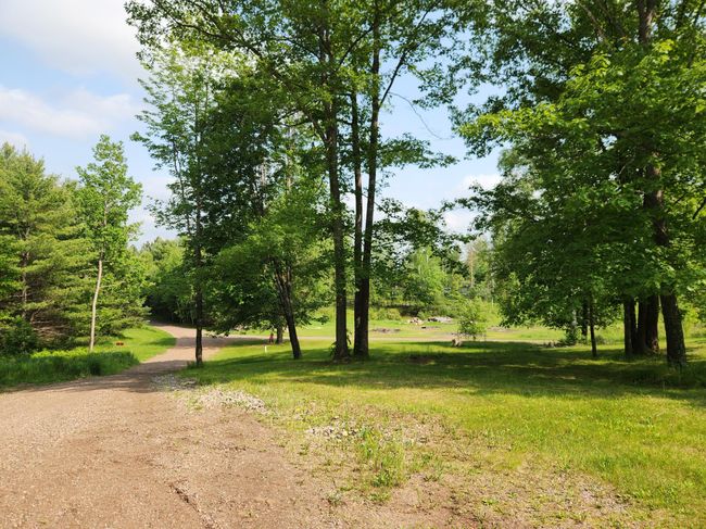 W6128 Cth H, House other with 4 bedrooms, 2 bathrooms and null parking in Phillips WI | Image 13