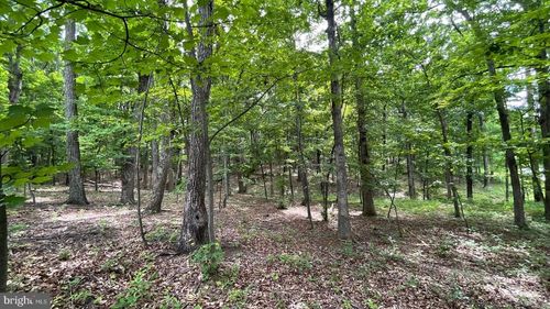 LOT 61 Bristol Springs Way, Slanesville, WV, 25444 | Card Image