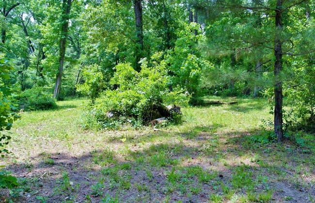 695 Lake Shore Dr, Home with 0 bedrooms, 0 bathrooms and null parking in Coldspring TX | Image 15