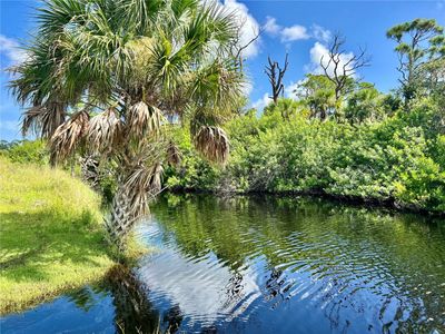 155 feet of frontage on a freshwater creek! | Image 1