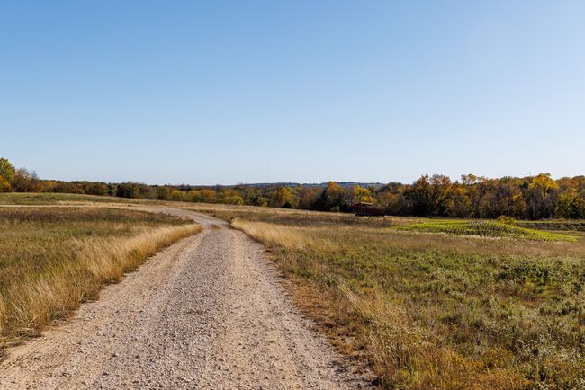 Tract 1 Fm 677, Home with 0 bedrooms, 0 bathrooms and null parking in Saint Jo TX | Image 17