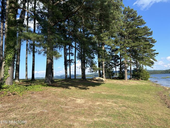 290 Pine Crest Dr, House other with 3 bedrooms, 3 bathrooms and null parking in Rutledge TN | Image 32