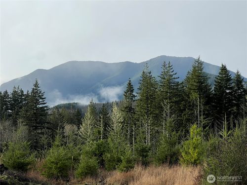 3 xxx Snow Creek Rd, Quilcene, WA, 98376 | Card Image
